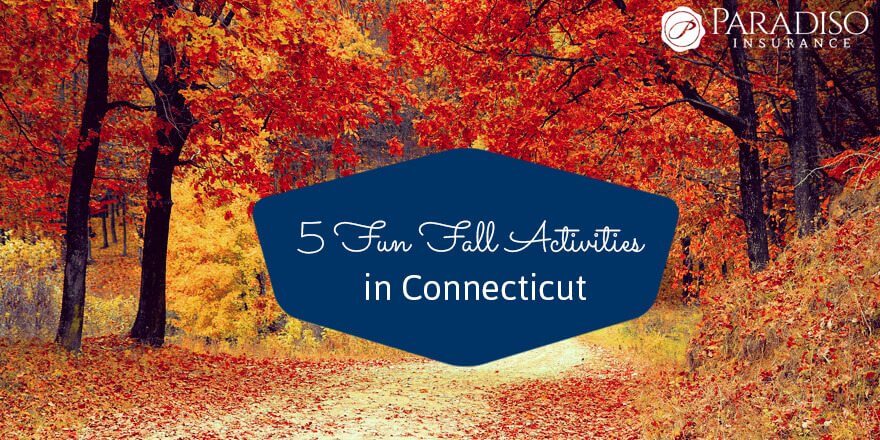 5-fun-fall-activities-in-connecticut-paradiso-insurance