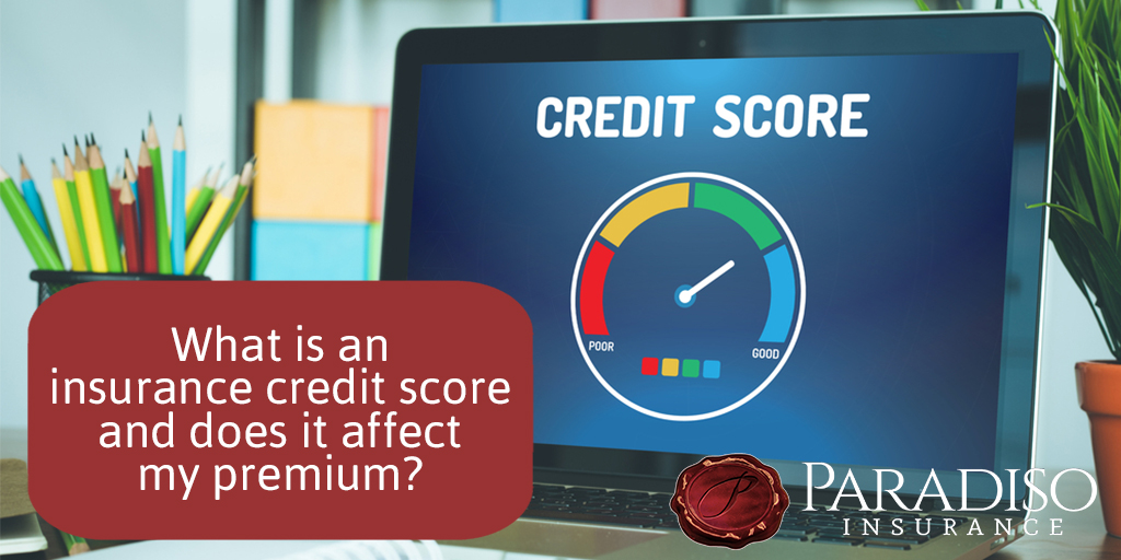 Does my credit score affect my insurance premium? - Paradiso Insurance