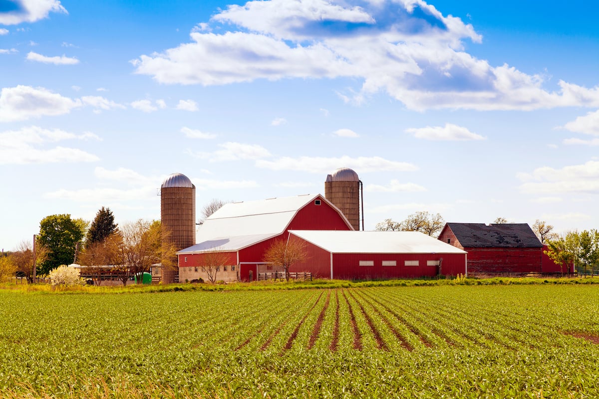 Farm, Ranch, Livestock & Agricultural Insurance 